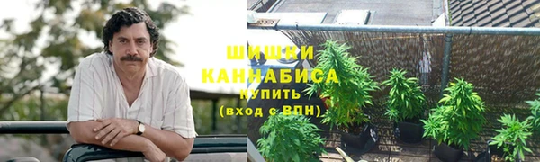 ГАЛЛЮЦИНОГЕННЫЕ ГРИБЫ Верхний Тагил